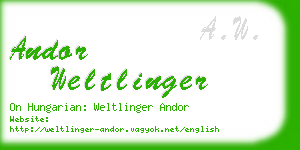 andor weltlinger business card